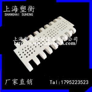 特氟龍網帶_食品級塑料網帶耐高溫模組網帶耐酸堿模塊網格化