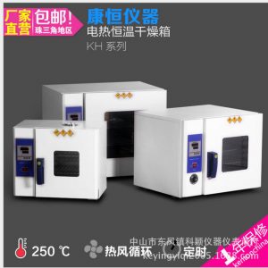 電熱鼓風干燥箱_實驗室工業烤箱烘干箱電熱恒溫干燥箱電熱鼓風