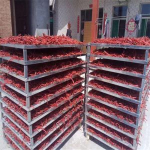 熱風循環(huán)烘箱_熱風循環(huán)烘箱果蔬烘干機箱式節(jié)能蘑菇