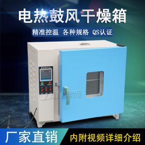 電熱鼓風干燥箱_恒溫鼓風干燥箱烘箱恒溫箱烤箱烘干箱老化實驗工業