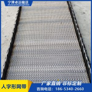 304不銹鋼人字形耐高溫網(wǎng)帶退火爐加密人字形大米烘干輸送機網(wǎng)帶